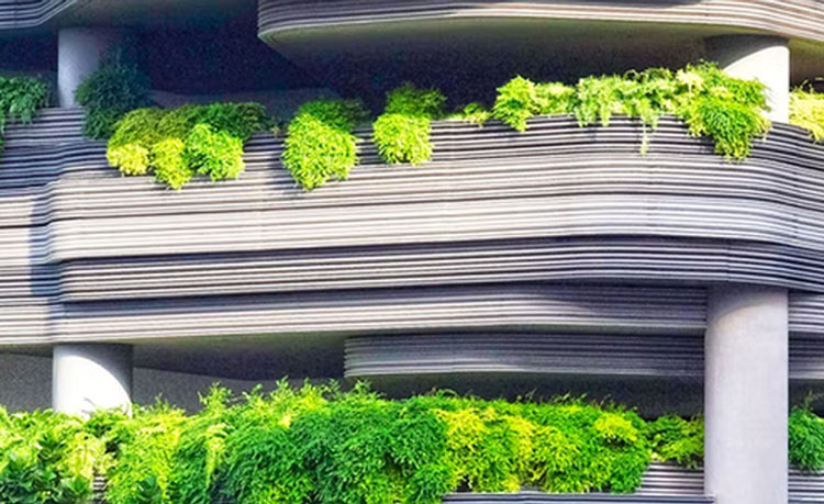 戴維(wei)醫(yī)療_寧(ning)波(bo)維(wei)爾凱迪醫(yī)療器(qi)械有(yǒu)限(xian)公(gōng)司